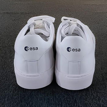esa Referenz
